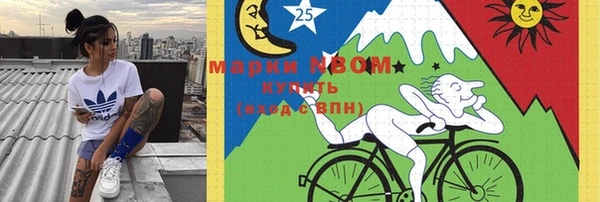 твердый Алзамай
