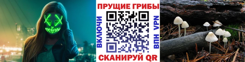 Галлюциногенные грибы мухоморы  mega ССЫЛКА  Арсеньев  где можно купить  
